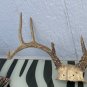8 Point Deer Antler Rack Skull Cap Horns Dark Color