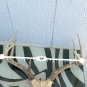 8 Point Deer Antler Rack Skull Cap Horns Dark Color