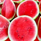 100 Sugar Baby Watermelon Seeds Super Sweet Fruit Heirloom Non Gmo Melon Easy to Grow
