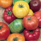 Rainbow Beefsteak Tomato Seeds Mix 100 Vegetable Garden Red Yellow Pink Orange Easy Grow