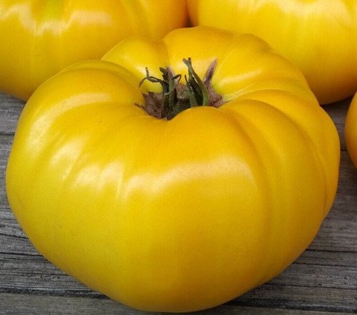 Yellow Brandywine Tomato Seeds 100 Indeterminate Beefsteak Variety Vegetables Easy Grow