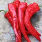 75Ct Rattlesnake Hatch Pepper Seeds Feel The Bite Med Heat Great Flavor Easy Grow