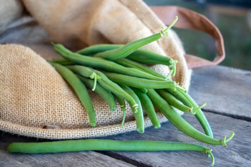 25 Bh Bean Seeds: Jade Crisp Tender Flavor Packed Easy Grow