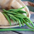 25 Bh Bean Seeds: Jade Crisp Tender Flavor Packed Easy Grow