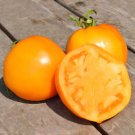 75 Heirloom Jubilee Orange Tomato Seeds Nongmo Indeterminate Easy Grow