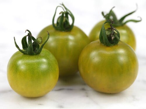 15 Fat Frog Micro Dwarf Tomato Seeds Areogarden Non Gmo Easy Grow