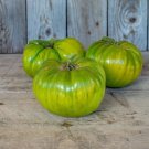 30 Aunt Rubys German Green Tomato Seeds Heirloom Non Gmo Easy Grow 30 Aunt Rubys German Green Tomato Seeds Heirloom Non Gmo Easy Grow