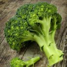 500 Waltham 29 Broccoli Seeds Heirloom Easy Grow