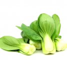 1200 Pak Choi Seeds Chinese White Cabbage Bok Choy Asian Vegetable Garden Easy Grow