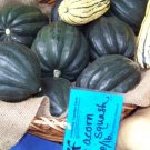 Squash Acorn Table Queen 47 Seeds USA Seller