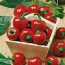 50 Large Red Cherry Hot Pepper Seeds 3 000 5 000 On The Scoville Scale USA Seller