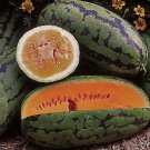 50 Orangeglo Watermelon Seeds Large Sweet 20 To 30 Pounds Non GMO USA Seller 50 Orangeglo Watermelon Seeds Large Sweet 20 To 30 Pounds Non GMO USA Seller