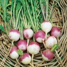 Rutabaga Seeds American Purple Top Heirloom Organic Non GMO 100 Seeds USA Seller