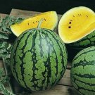 Yellow Crimson Watermelon Seeds Organic Fruit Watermelon 25 Seeds USA Seller Yellow Crimson Watermelon Seeds Organic Fruit Watermelon 25 Seeds USA Seller