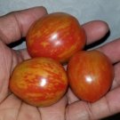 Bonet Tigerette' Micro Dwarf Tomato Seeds USA Seller
