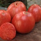 Pink Oxheart Tomato 12 Seeds Harvested USA Seller