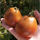 Japanese Black Truffle 12 Tomato USA Seller