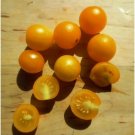 Birdie Jaune Micro Dwarf Sweet Cherry Tomato Vegetable 12 Seeds USA Seller Birdie Jaune Micro Dwarf Sweet Cherry Tomato Vegetable 12 Seeds USA Seller