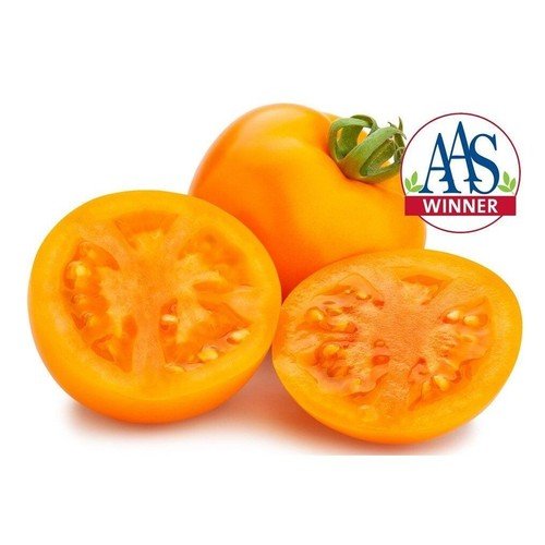 Golden Jubilee Cherry Heirloom Tomato Seeds 30 Seeds'S USA Seller