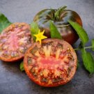 Black Krim Tomato Heirloom Heirloom Tomato Seeds USA Seller