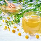 Chamomile 3500 Seeds Teas Medicine USA Seller