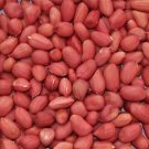 Jumbo Peanut Seeds 50 For Planting Non GMO Heirloom USA Seller