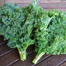 Kale 15 Vegetable Seeds USA Seller