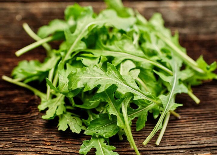 Arugula Lettuce 15 Vegetable Seeds USA Seller