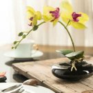 20 Seeds For Yellow Orchid Flower Garden Exotic House Plant USA Seller 20 Seeds For Yellow Orchid Flower Garden Exotic House Plant USA Seller