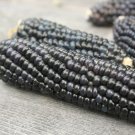 25 Blue Hopi Corn Seeds Organic Native Heirloom Summer Fall Vegetable Garden USA Seller