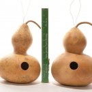 15 Birdhouse Bottle Gourd Seeds Native Heirloom Vine Crafts Birds Hobby Garden USA Seller 15 Birdhouse Bottle Gourd Seeds Native Heirloom Vine Crafts Birds Hobby Garden USA Seller