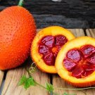 Gac Fruit Sweet Gourd Momordica Cochinchinensis 10 Seeds USA Seller