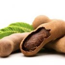 Sour Tamarind 10 Seeds USA Seller