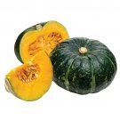 Organic Japanese Kabocha Pumpkin Winter Squash 12 Seeds USA Seller