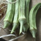 Clemson Spineless Okra 100 Seeds Heirloom Micro Green Vegetable Non GMO Zones USA Seller