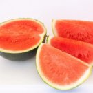 Sugar Baby Watermelon Heirloom Citrullus Lanatus Non GMO 50 Seeds USA Seller Sugar Baby Watermelon Heirloom Citrullus Lanatus Non GMO 50 Seeds USA Seller