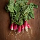 French Breakfast Radish Heirloom Non GMO 200 Fast Growing 25 Days USA Seller