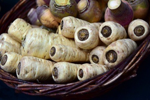 Harris Early Model Parsnip Organic Non GMO 200 Seeds USA Seller