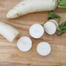 200 Daikon Radish Heirloom Vegetable Seeds Non GMO White USA Seller 200 Daikon Radish Heirloom Vegetable Seeds Non GMO White USA Seller