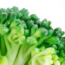 Waltham Broccoli 500 Seeds Heirloom Non GMO For Microgreens Or Planting USA Seller