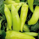 50 Hungarian Wax Sweet Pepper Seeds Sweet Banana Pepper Yellow Red Veggies USA Seller