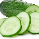 25 Bush Cucumber Seeds Spacemaster Cucumber Bush Type Plant Container Garden USA Seller 25 Bush Cucumber Seeds Spacemaster Cucumber Bush Type Plant Container Garden USA Seller