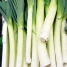 200 Leek Seeds American Flag Leek Seedsallium Porrumfresh Garden Vegetable USA Seller
