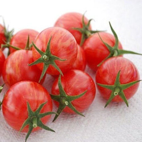 40 Pink Bumble Bee Tomato Seeds Organic Seeds USA Seller