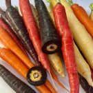 Carrot Seeds Seedset 1 Gram Rainbow 400 600 Seeds Organic USA Seller