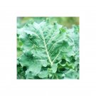 250 Premier Kale Seeds Non GMO Cruciferous Early Hanover USA Seller