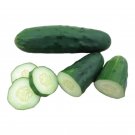 25 Marketmore 76 Cucumber Seeds Productive Sweet And Tender USA Seller 25 Marketmore 76 Cucumber Seeds Productive Sweet And Tender USA Seller