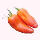 20 Jersey Devil Tomato Seeds Non GMO Indeterminate Heirloom USA Seller 20 Jersey Devil Tomato Seeds Non GMO Indeterminate Heirloom USA Seller
