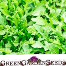 4500 Rocket Arugula Seeds Slow Bolt Seeds USA Seller 4500 Rocket Arugula Seeds Slow Bolt Seeds USA Seller