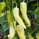 50 Sweet Banana Pepper Seeds Non GMO Heirloom USA Seller